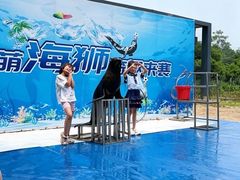 -日照海滨国家森林公园