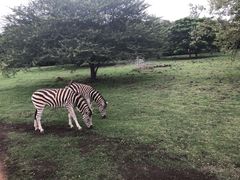 -卡塞拉自然公园