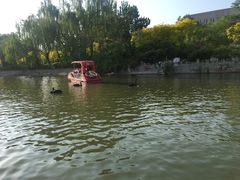 -南翠屏公园
