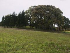 -福建鲤鱼洲酒店