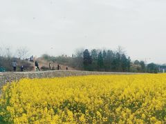 -白鹭湾湿地公园