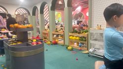 -宝燕乐园(春申店)