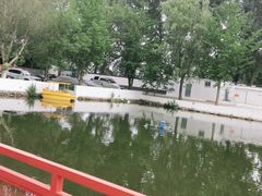 -向外鱼乐·土菜·虹鳟鱼