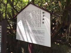 -野宫神社