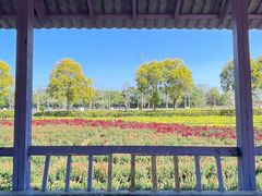 -广东花都香草世界旅游度假区
