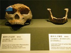 -陕西历史博物馆