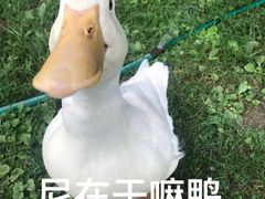 -网鱼网咖·电竞(南开百脑汇店)