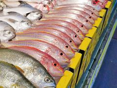 -三亚火车头万人海鲜广场