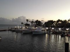 -Wahoo's Seafood Bar and Grill Restaurant