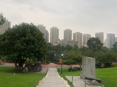 -龙头寺公园