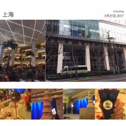 -上海大酒店·婚宴年会宴会厅