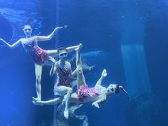 -多彩贵州城极地海洋世界