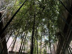 -袁亮今日陶艺(苹果社区总店)
