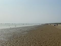 -合肥滨湖国家森林公园