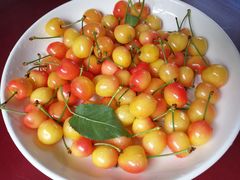 -如意农家院(胡关路店)