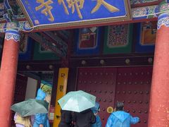 -张掖大佛寺景区