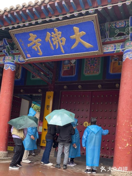 张掖大佛寺景区图片