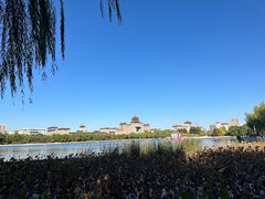 -莲花池公园