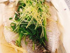 特价菜蒸碗鱼-粤·向群饭店(龙津东路总店)