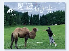 -武陵山森林公园