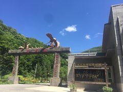 -望天鹅景区