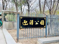 -迎泽公园