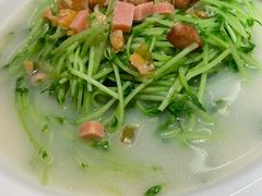 上汤豆苗-江渔儿酸菜鱼(曜一城店)
