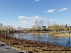 -大兴滨河森林公园