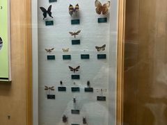 -陕西自然博物馆