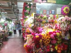 -花鸟鱼虫鲜花绿植市场(玉泉路店)