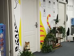 -爱乐蒙艺术·古筝 钢琴 声乐(科华校区)