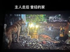 -金逸影城(影视中心IMAX店)