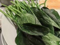 -阿源鱼捞斑鱼火锅·海鲜粥(山景尚宅店)