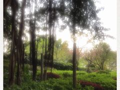 -乌山风景区