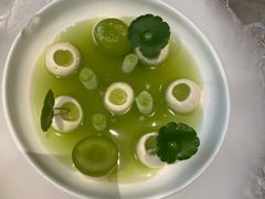 -Tomacado花厨(One ITC店)