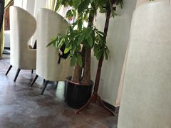 大堂-梧桐