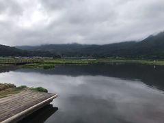 -腾冲北海湿地