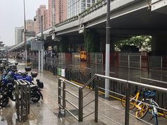 -上海游泳馆(地铁站)