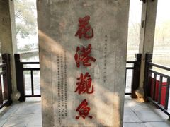 -西湖外事游船(花港观鱼码头)