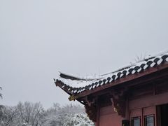 -溪口商量岗景区