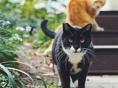 -苏州河梦清园环保主题公园