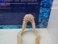 -生命奥秘博物馆