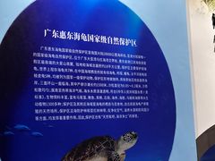 -广东惠东海龟国家级自然保护区
