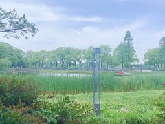 -小湾茶楼