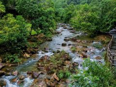 -广州白江湖森林公园