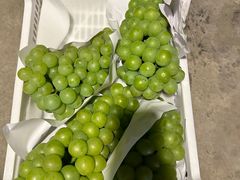 -马陆小张葡萄园农家乐