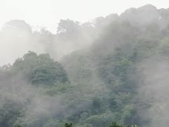 -峨眉山报国寺