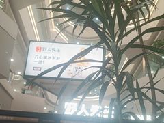 -野人先生Gelato(上海长宁龙之梦店)