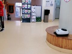 -瑞派宠物医院·24小时骨科·心脏·核磁(哈尔滨南岗店)