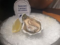 -拉蒂娜·巴西牛排馆 Latina·Brazilian Steakhouse(王府井喜悦店)